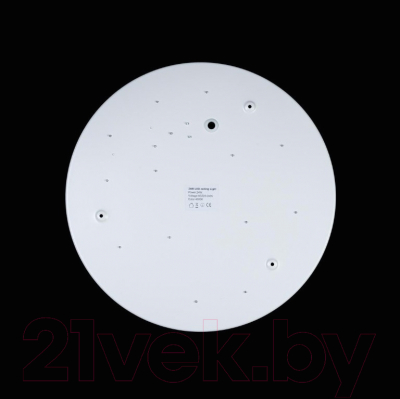 Потолочный светильник Loftit Axel 10003/24