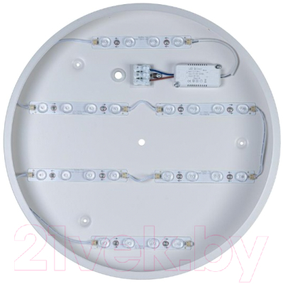 Потолочный светильник Loftit Axel 10003/24