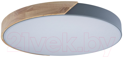 Потолочный светильник Loftit Axel 10004/36 Grey - фото