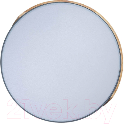 Потолочный светильник Loftit Axel 10004/36 Grey