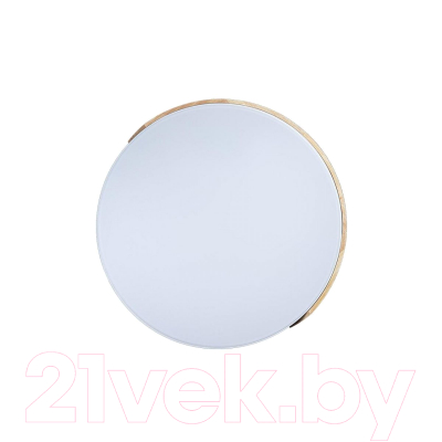 Потолочный светильник Loftit Axel 10004/36