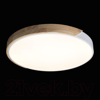 Потолочный светильник Loftit Axel 10004/36