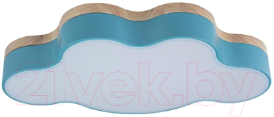 Потолочный светильник Loftit Axel 10005/30 Blue - фото