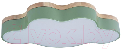 Потолочный светильник Loftit Axel 10005/30 - фото