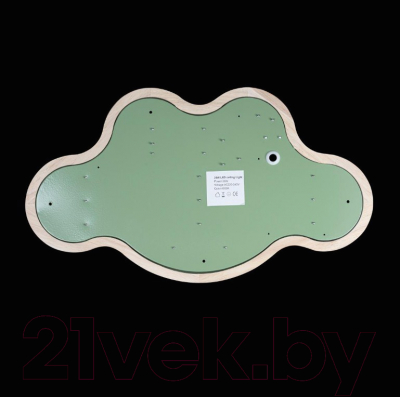 Потолочный светильник Loftit Axel 10005/30