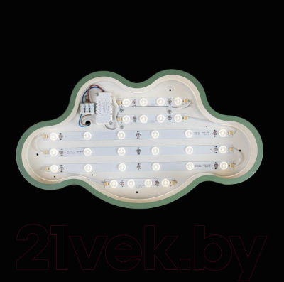 Потолочный светильник Loftit Axel 10005/30