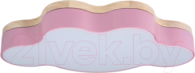 Потолочный светильник Loftit Axel 10005/30 Pink - фото