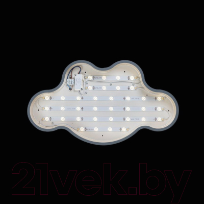 Потолочный светильник Loftit Axel 10005/36