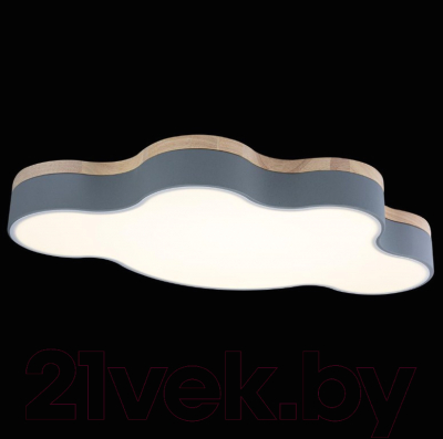 Потолочный светильник Loftit Axel 10005/36