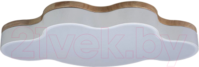 Потолочный светильник Loftit Axel 10005/36 (White) - фото