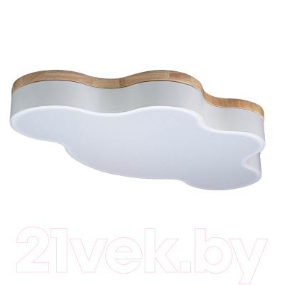 Потолочный светильник Loftit Axel 10005/36 (White)