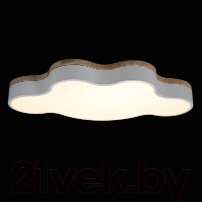 Потолочный светильник Loftit Axel 10005/36 (White)