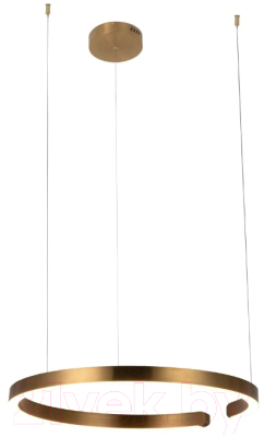 Потолочный светильник Loftit Ring 10013L - фото