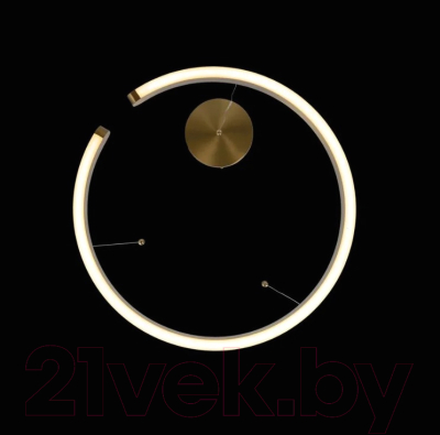 Потолочный светильник Loftit Ring 10013L