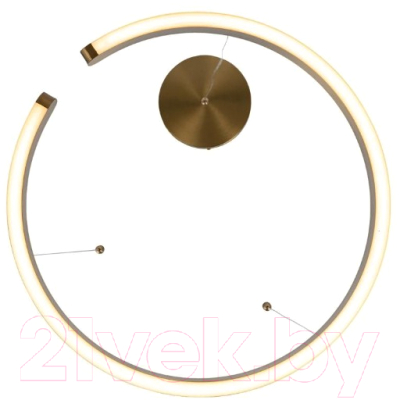 Потолочный светильник Loftit Ring 10013L