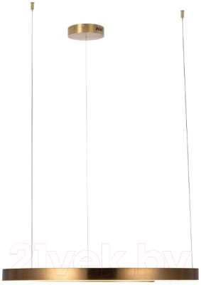 Потолочный светильник Loftit Ring 10013L