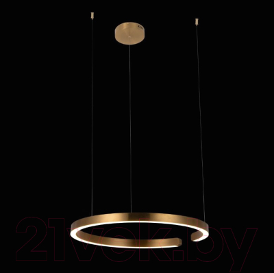 Потолочный светильник Loftit Ring 10013L