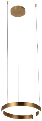 Потолочный светильник Loftit Ring 10013S - фото