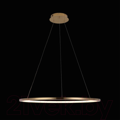 Потолочный светильник Loftit Ring 10014L