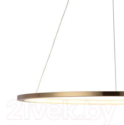 Потолочный светильник Loftit Ring 10014L