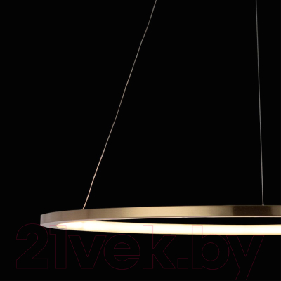 Потолочный светильник Loftit Ring 10014L