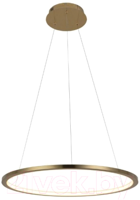 Потолочный светильник Loftit Ring 10014M - фото