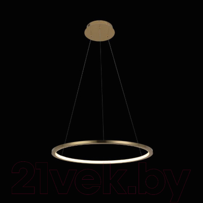 Потолочный светильник Loftit Ring 10014M