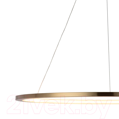 Потолочный светильник Loftit Ring 10014XL