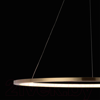 Потолочный светильник Loftit Ring 10014XL