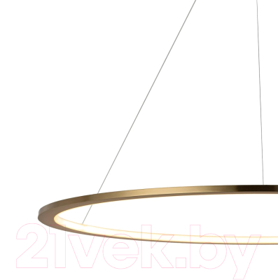 Потолочный светильник Loftit Ring 10014XL