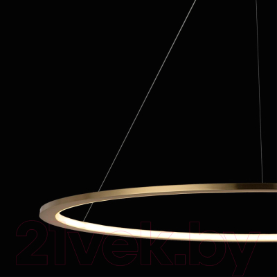 Потолочный светильник Loftit Ring 10014XL