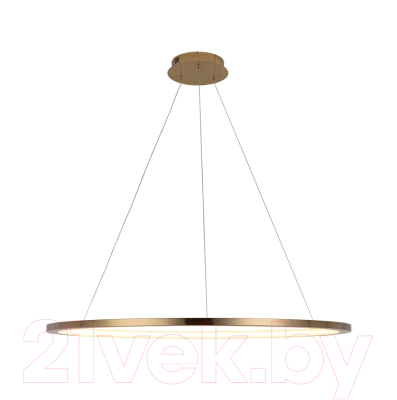 Потолочный светильник Loftit Ring 10014XL