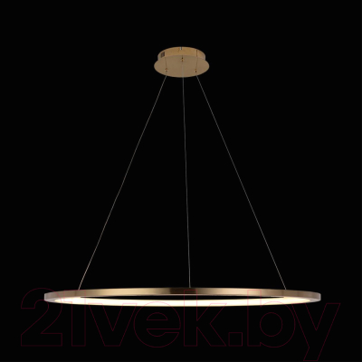 Потолочный светильник Loftit Ring 10014XL