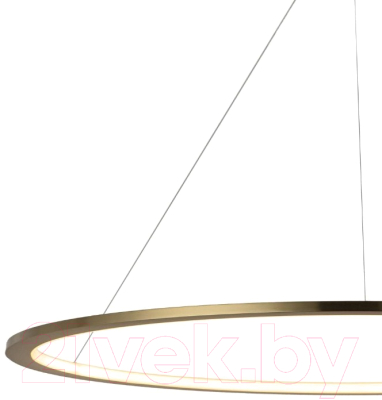 Потолочный светильник Loftit Ring 10014XXL