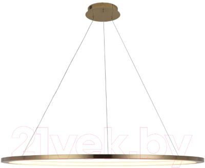 Потолочный светильник Loftit Ring 10014XXL