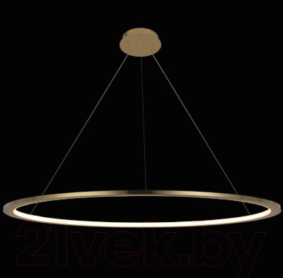 Потолочный светильник Loftit Ring 10014XXL