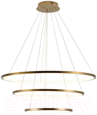 Потолочный светильник Loftit Ring 10015/3  - фото