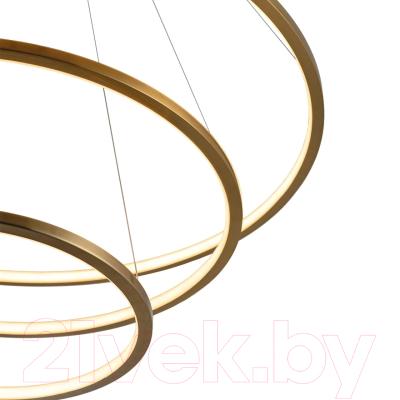 Потолочный светильник Loftit Ring 10015/3 