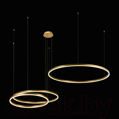 Потолочный светильник Loftit Ring 10017/3L