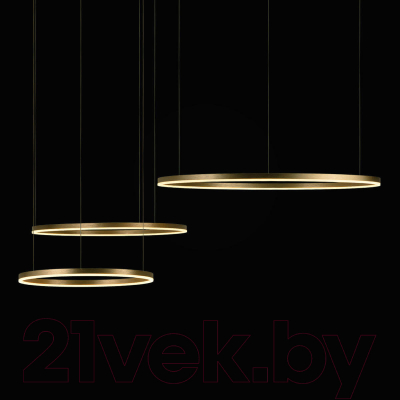 Потолочный светильник Loftit Ring 10017/3L