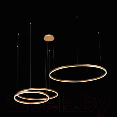 Люстра Loftit Ring 10017/3M