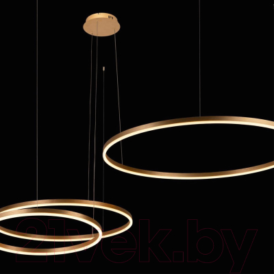 Люстра Loftit Ring 10017/3M