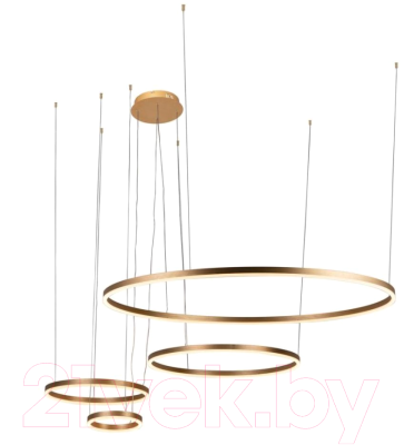 Люстра Loftit Ring 10017/4L - фото