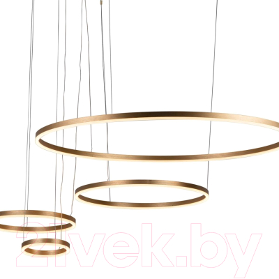 Люстра Loftit Ring 10017/4L