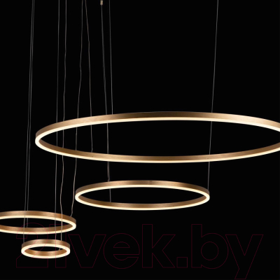 Люстра Loftit Ring 10017/4L