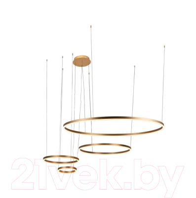 Люстра Loftit Ring 10017/4S - фото