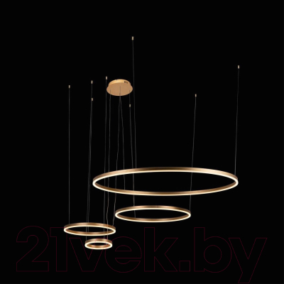 Люстра Loftit Ring 10017/4S