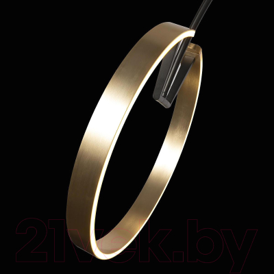Торшер Loftit Ring 10027