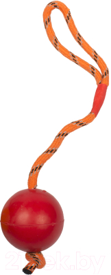 Игрушка для собак Duvo Plus Мячик на веревке / 10168 - фото