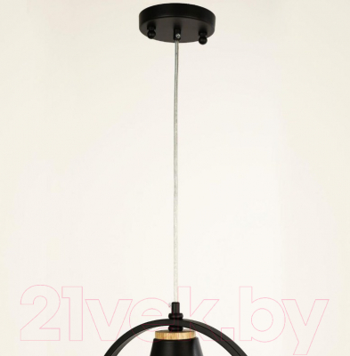 Потолочный светильник FAVOURITE F-Promo Uccello / 2938-1P